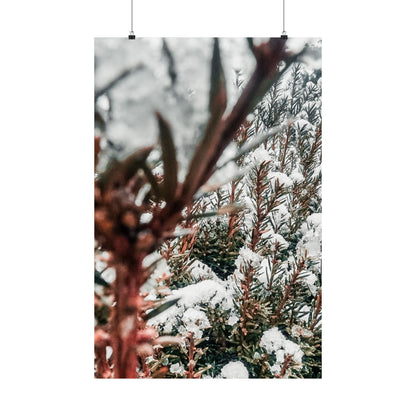 Vertical Poster - Small but Mighty Bush Branches